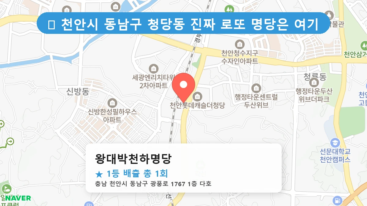 왕대박천하명당 네이버 지도