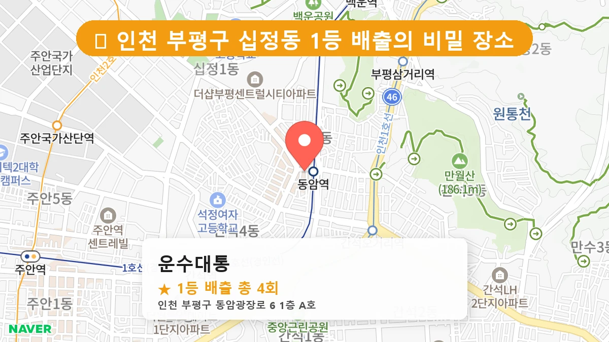 운수대통 네이버 지도