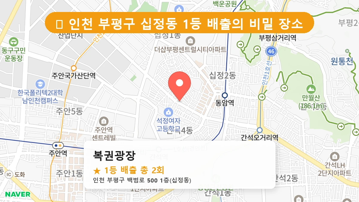 복권광장 네이버 지도