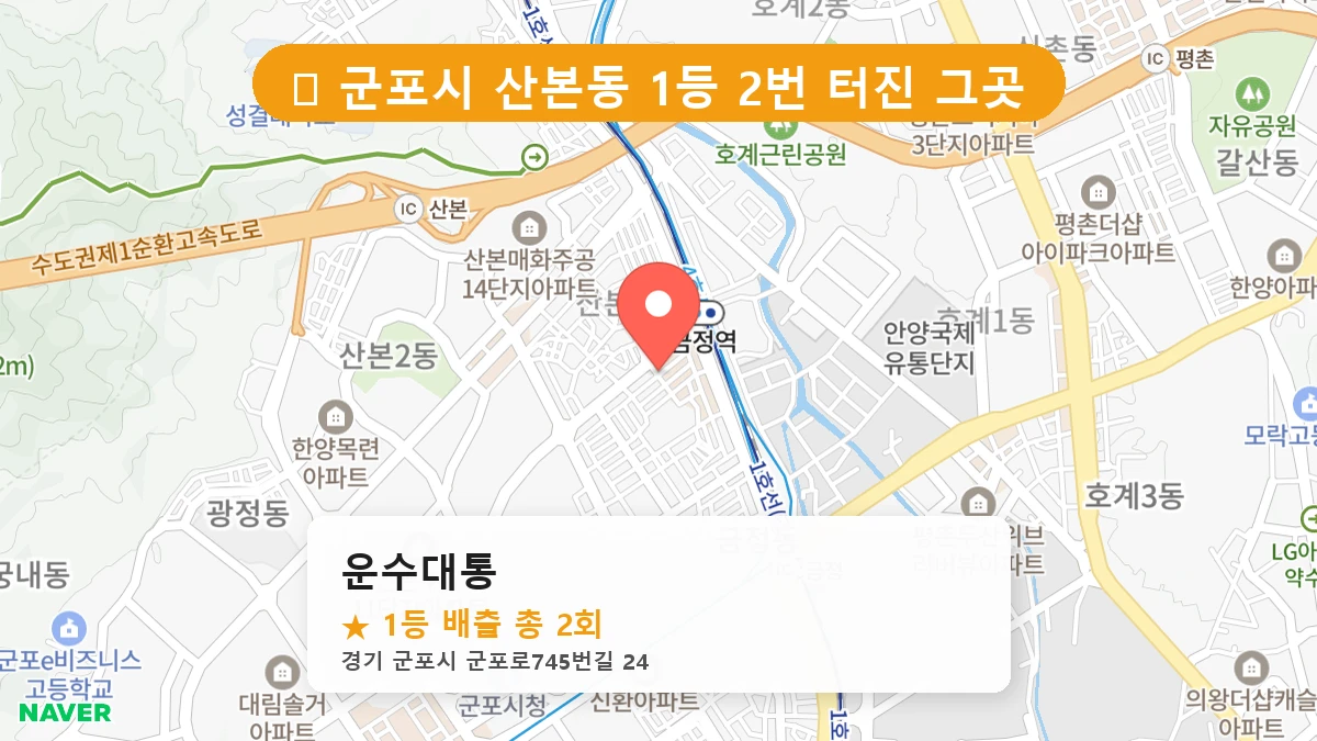 운수대통 네이버 지도