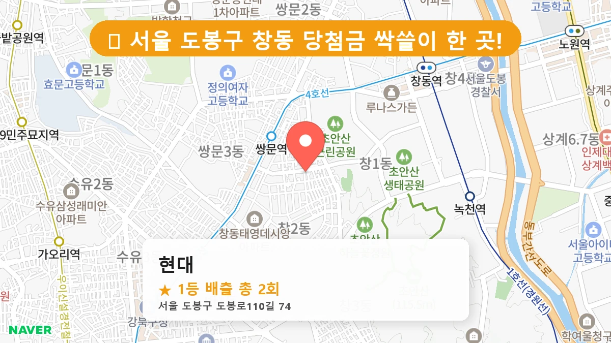 현대 네이버 지도
