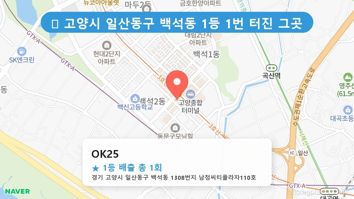[2026 경기 고양시 일산동구 백석동 로또 명당 BEST] 숨겨진 명당 발견! 당첨자들의 성지