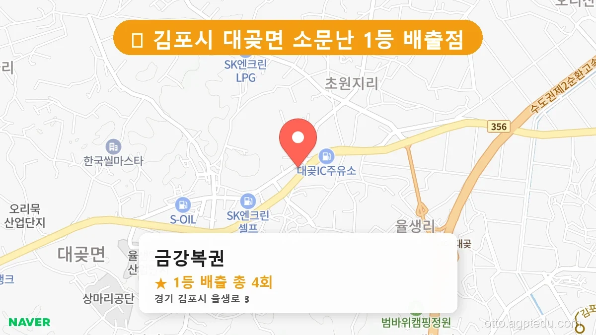 경기 김포시 대곶면 대곶면 로또 명당 금강복권 1등 당첨 배출점 전경