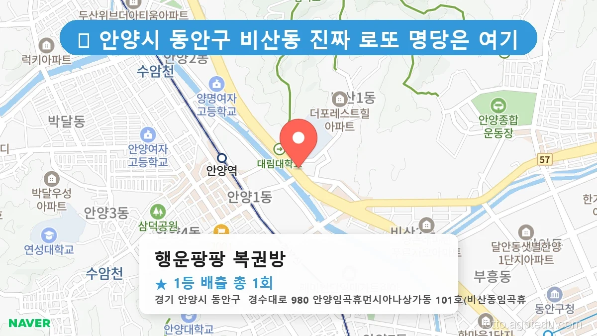 경기 안양시 동안구 비산동 비산동 로또 명당 행운팡팡 복권방 1등 당첨 배출점 전경