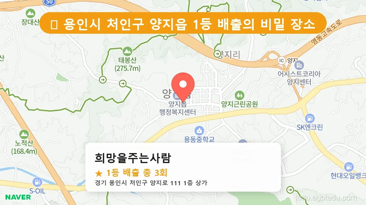 [2026 경기 용인시 처인구 양지읍 로또 명당 BEST] 명당 지도와 당첨 비율 상세 분석