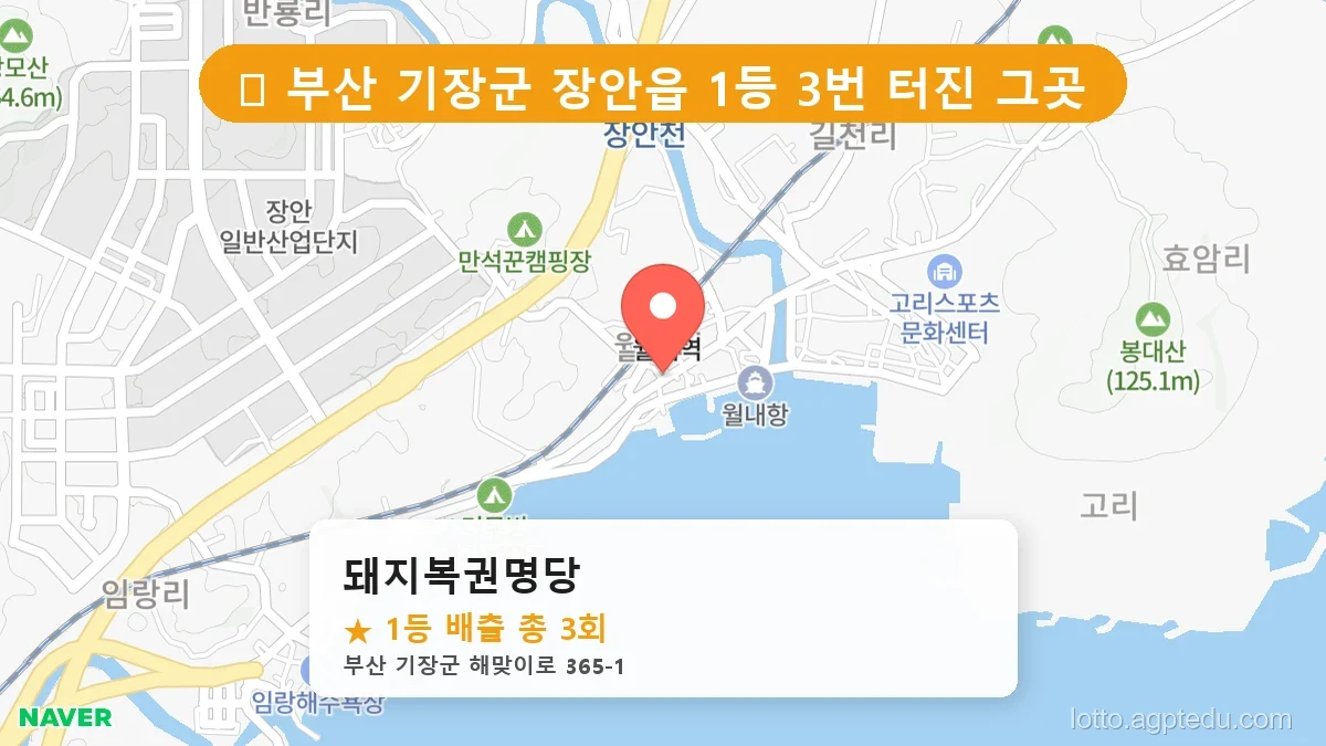 [2026 부산 기장군 장안읍 로또 명당 BEST 2] 줄 서서 사는 판매점 상세 정보 확인