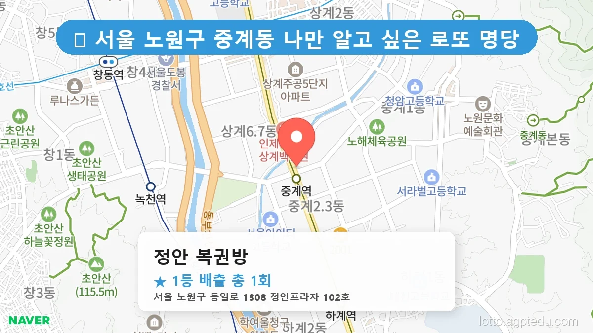 [1216회 로또 1등 당첨점] 성남 서현동, 창원 진동면, 울산 신정동 로또 명당 완벽 분석!