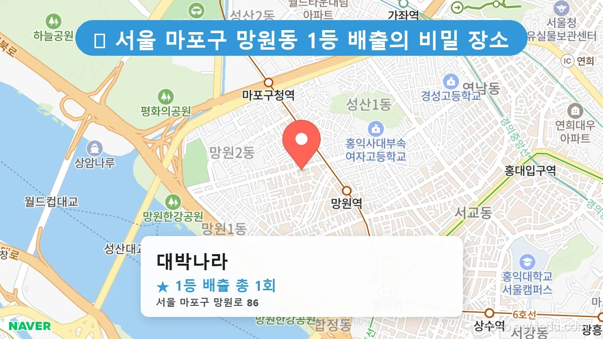 서울 마포구 망원동 망원동 로또 명당 대박나라 1등 당첨 배출점 전경
