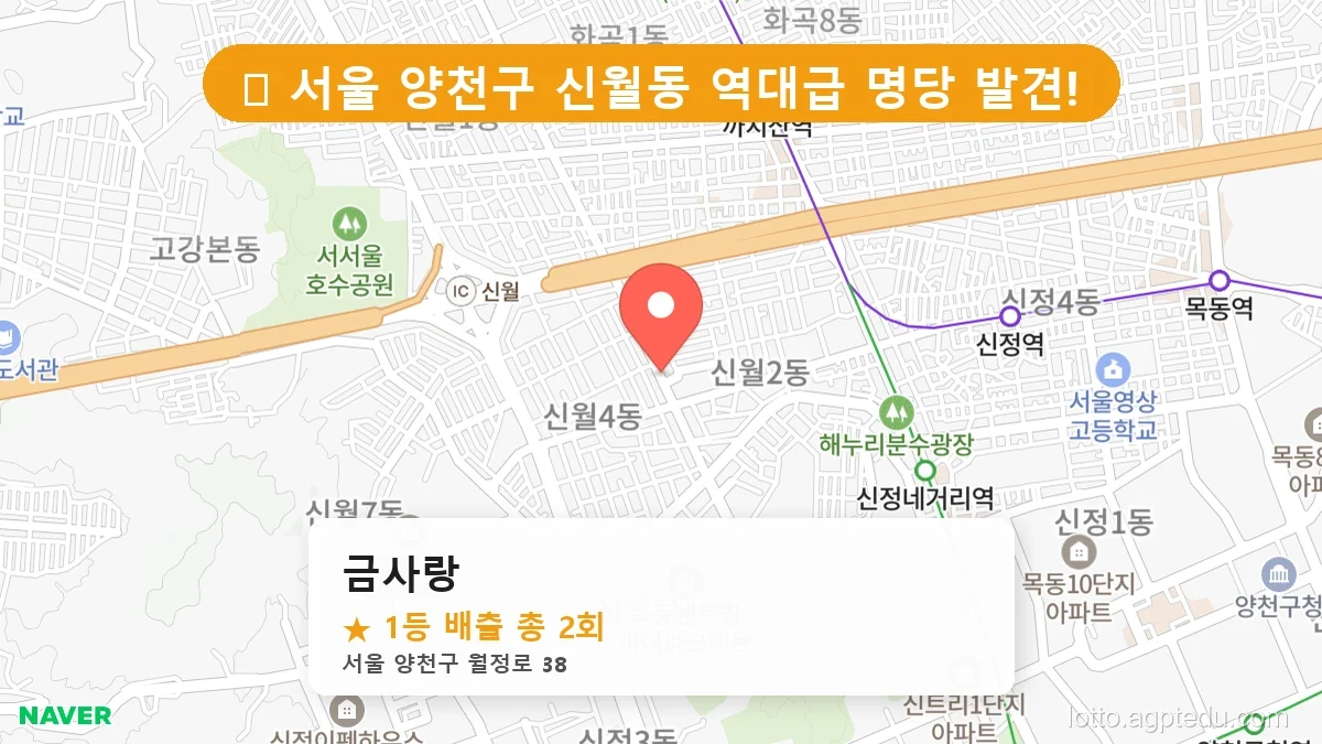 [2026 서울 양천구 신월동 로또 명당 TOP 10] 숨겨진 명당 발견! 당첨자들의 성지