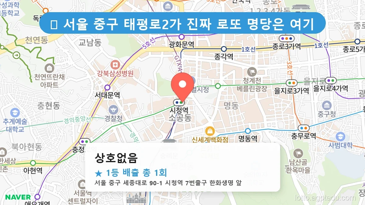 서울 중구 태평로2가 태평로2가 로또 명당 상호없음 1등 당첨 배출점 전경
