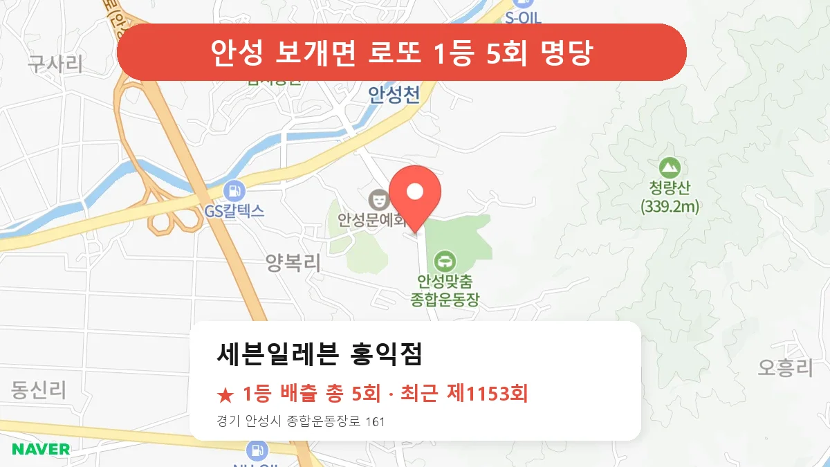 안성 세븐일레븐 홍익점 로또 1등 5회 명당 | 위치·당첨 이력 (경기 안성시 보개면)