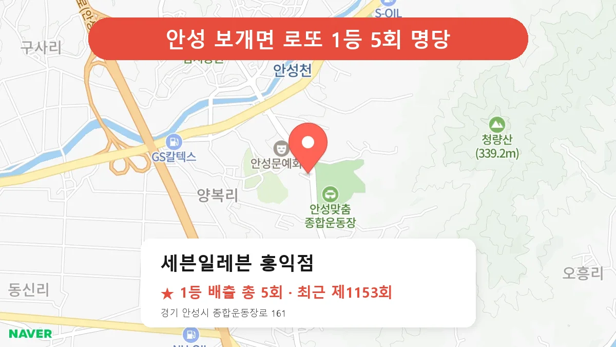 안성 세븐일레븐 홍익점 로또 1등 5회 명당 | 위치·당첨 이력 (경기 안성시 보개면)
