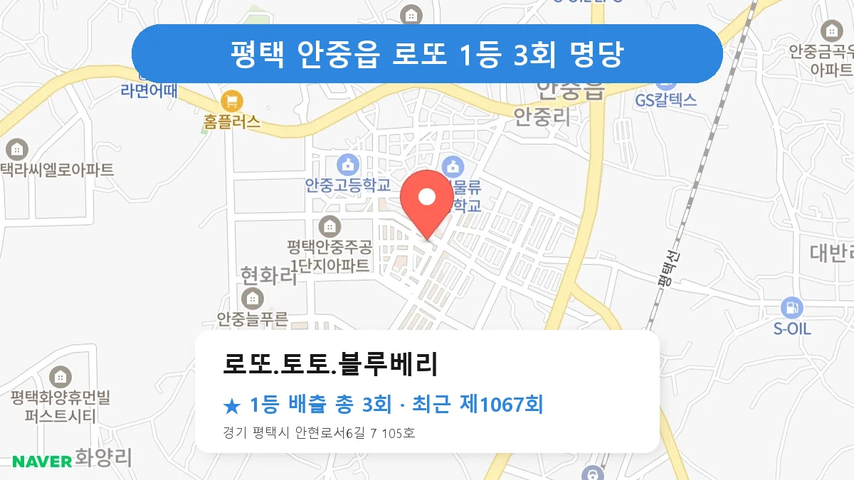 평택 로또.토토.블루베리 로또 1등 3회 명당 | 위치·당첨 이력 (경기 평택시 안중읍)