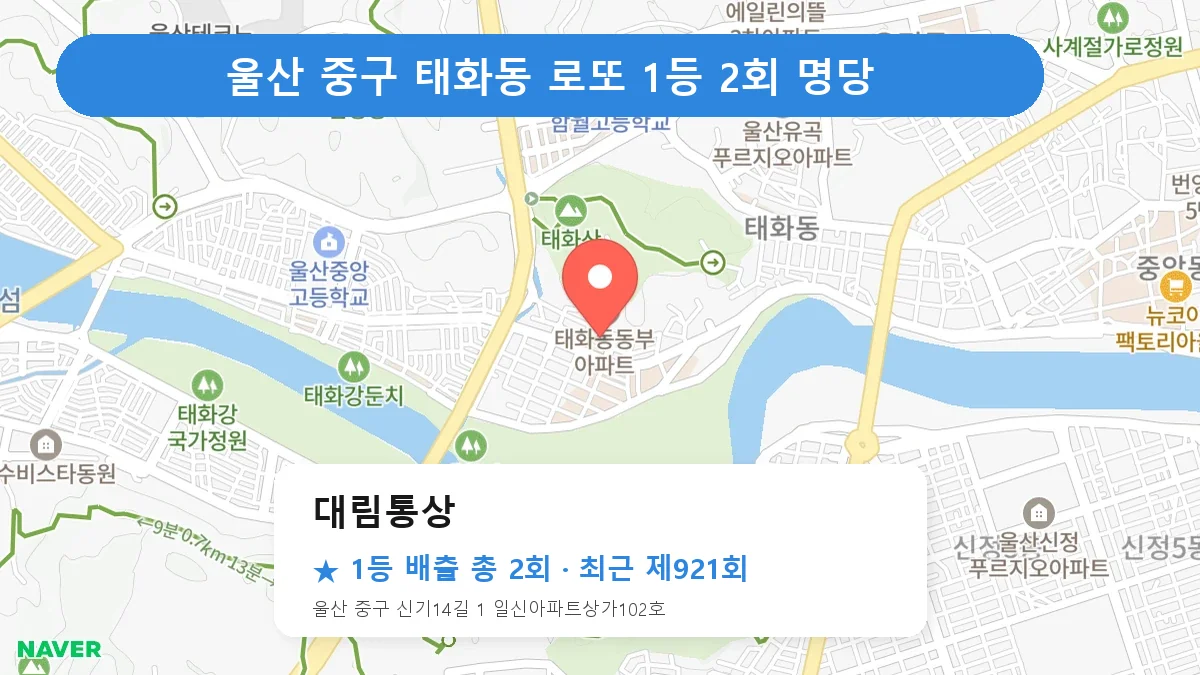 울산 중구 로또 명당 대림통상 위치