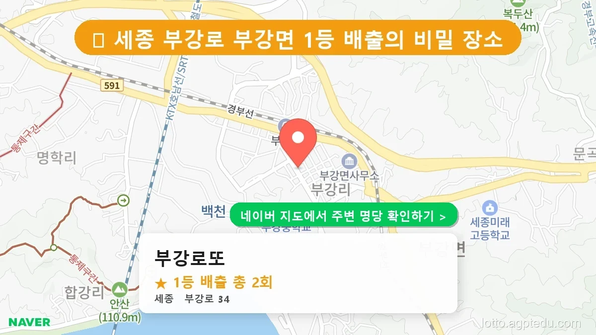 [세종 부강로 로또 명당] 부강면 1등 배출점, 부강로또 방문 후기