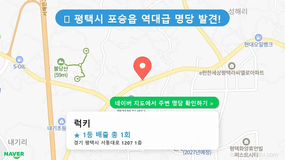 제1230회 평택시 포승읍 로또 명당 럭키 위치 및 상세정보