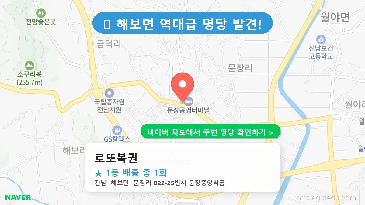 [전남 해보면 로또 명당 BEST 1] 우리 동네 1등 배출 판매점 위치 및 순위 완벽 정리