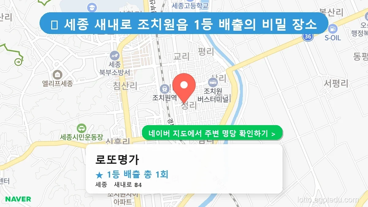 세종 새내로 로또 명당 BEST 1, 조치원읍 1등 배출점은 어디?