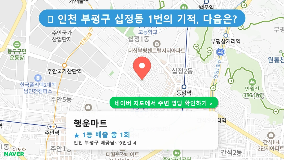 행운마트 네이버 지도