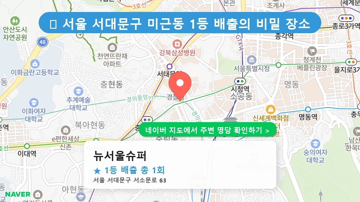뉴서울슈퍼 네이버 지도