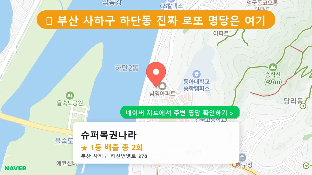 슈퍼복권나라 네이버 지도