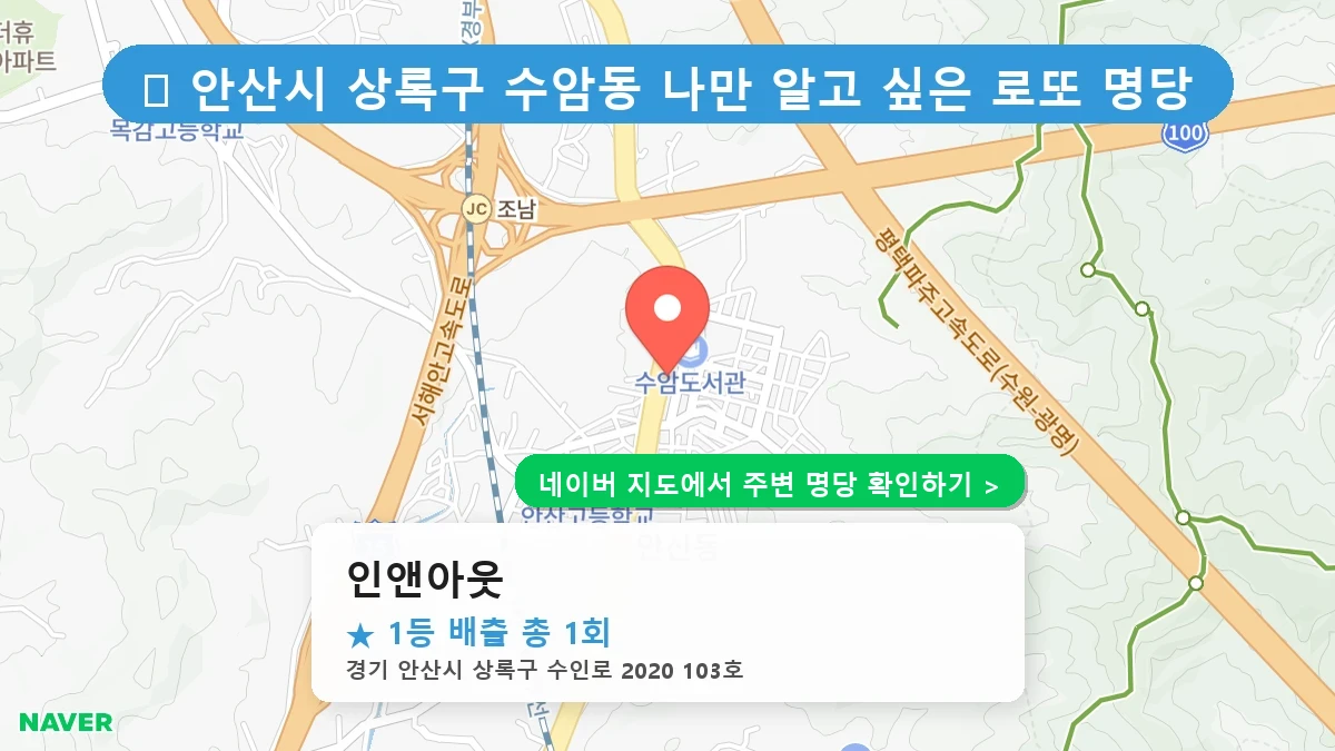 인앤아웃 네이버 지도