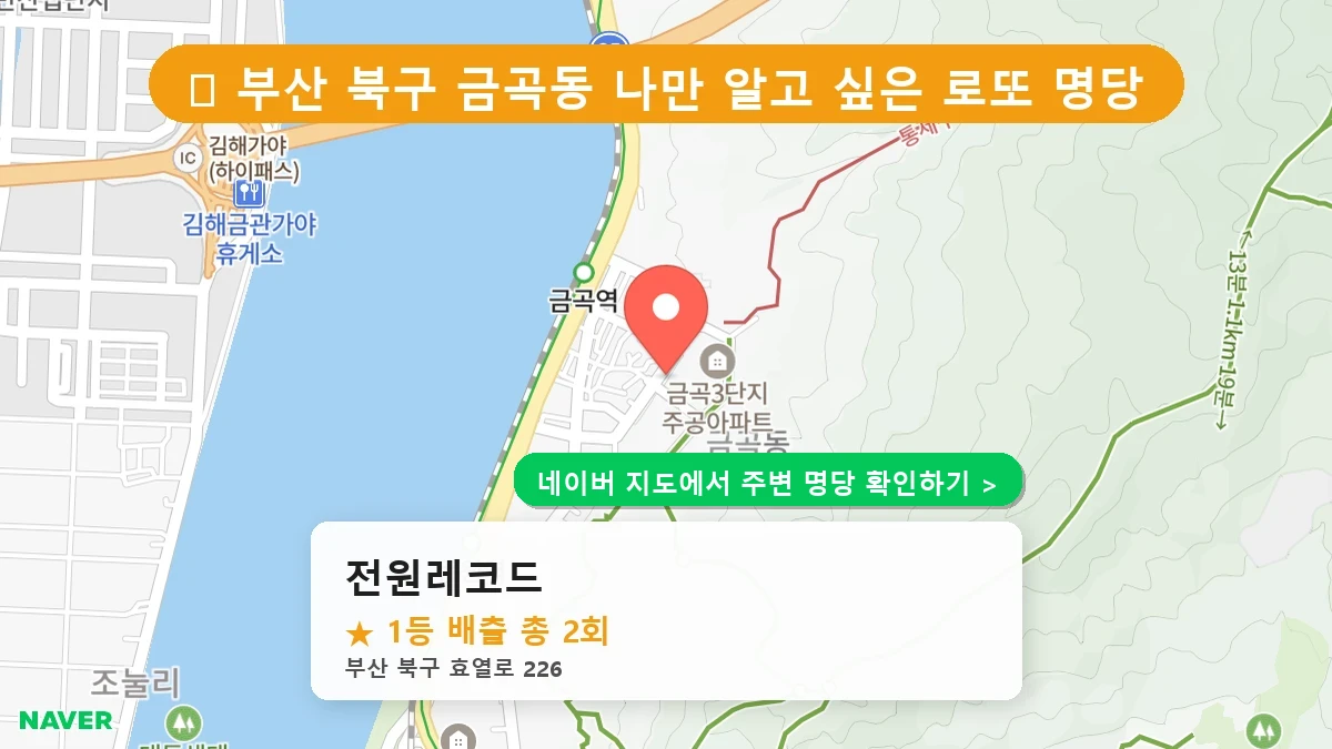 전원레코드 네이버 지도