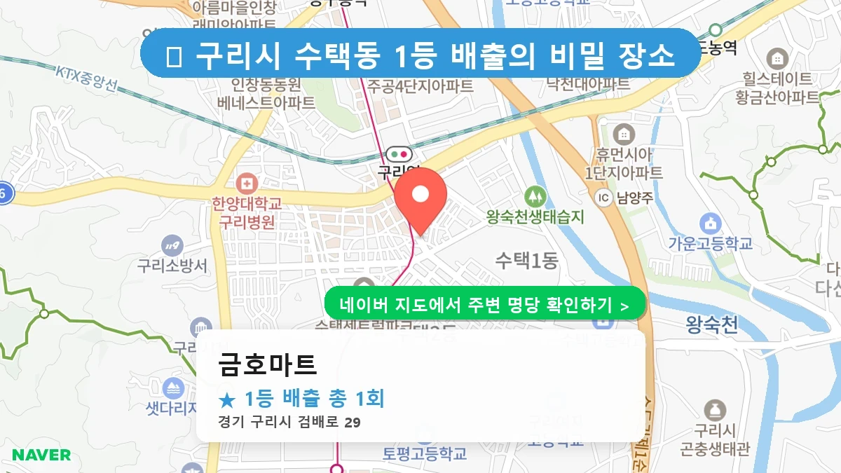 금호마트 네이버 지도