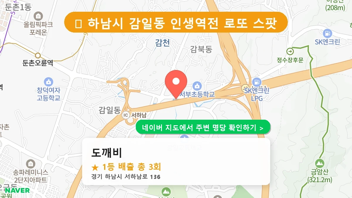 도깨비 네이버 지도