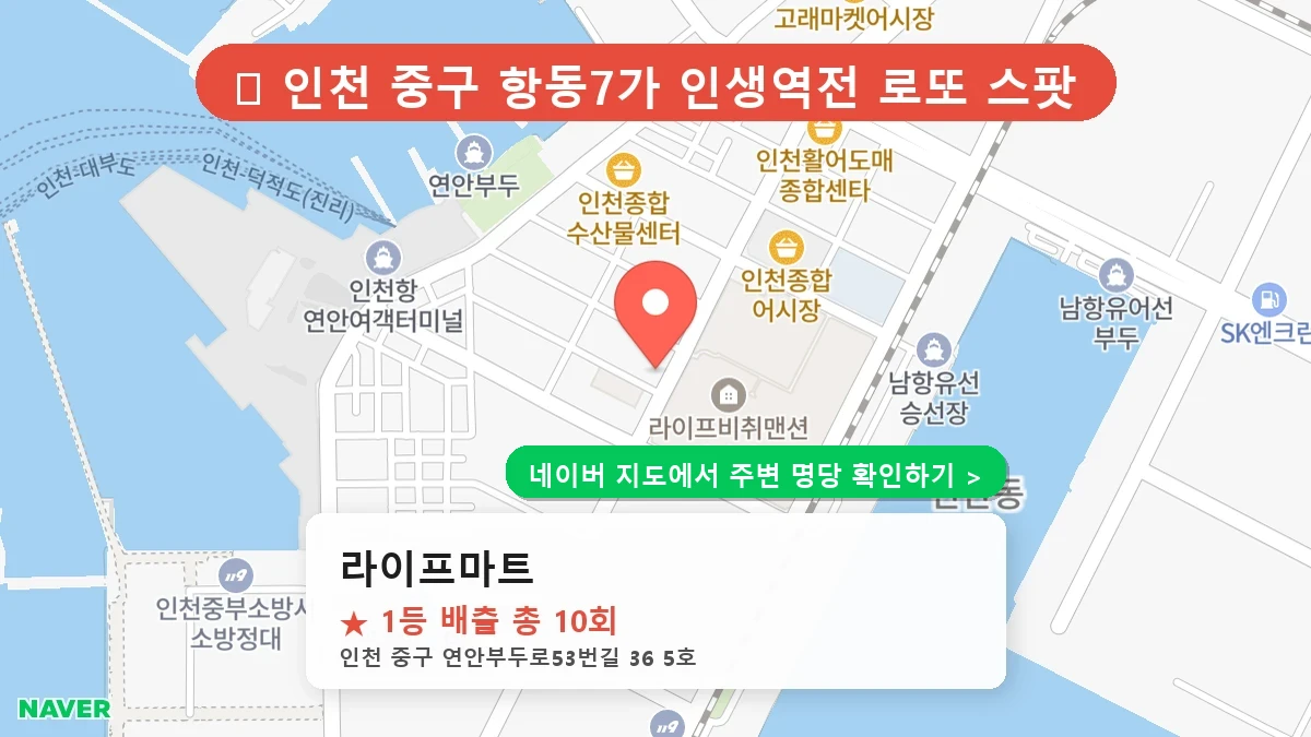 라이프마트 네이버 지도