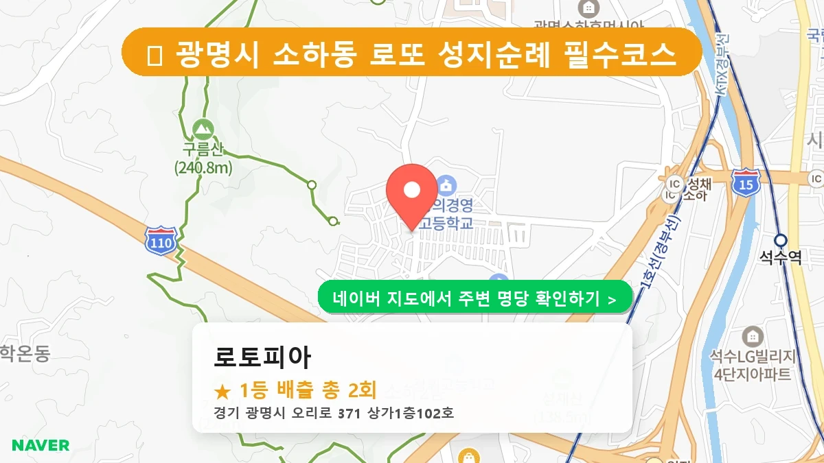 로토피아 네이버 지도