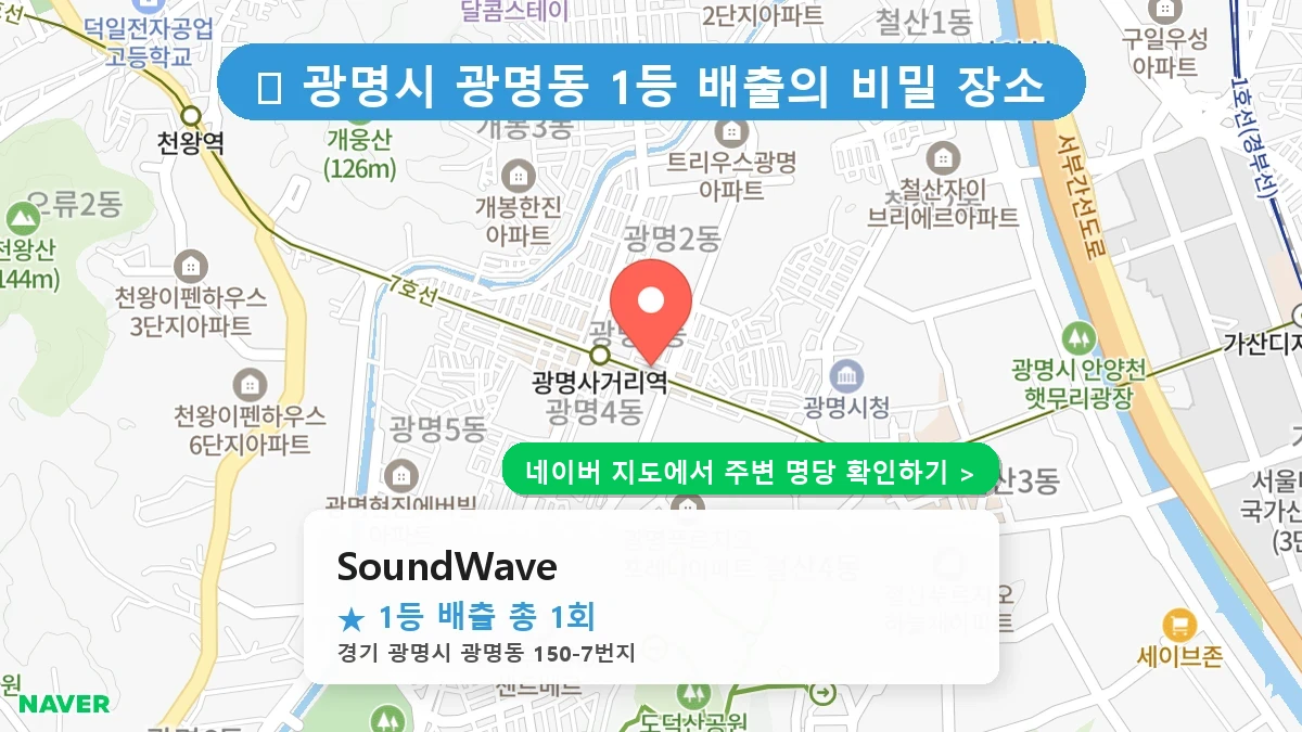 SoundWave 네이버 지도
