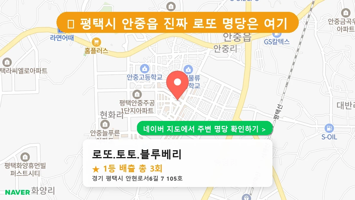 로또.토토.블루베리 네이버 지도