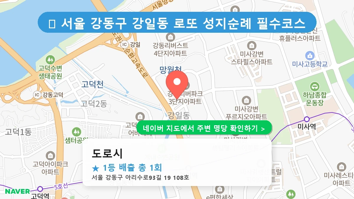 도로시 네이버 지도
