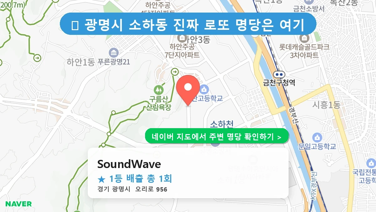 SoundWave 네이버 지도