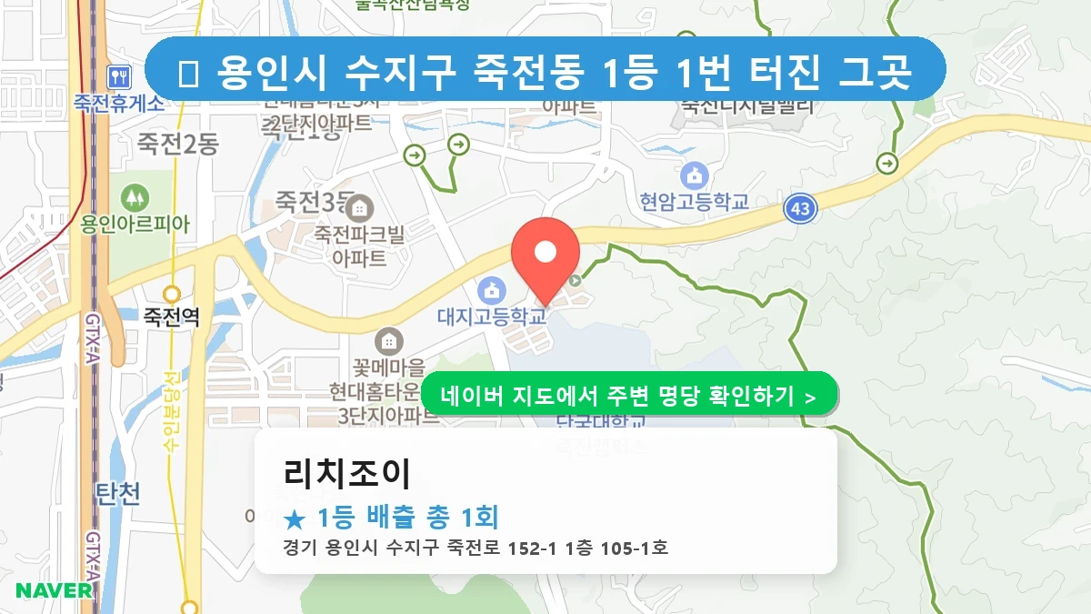 리치조이 네이버 지도