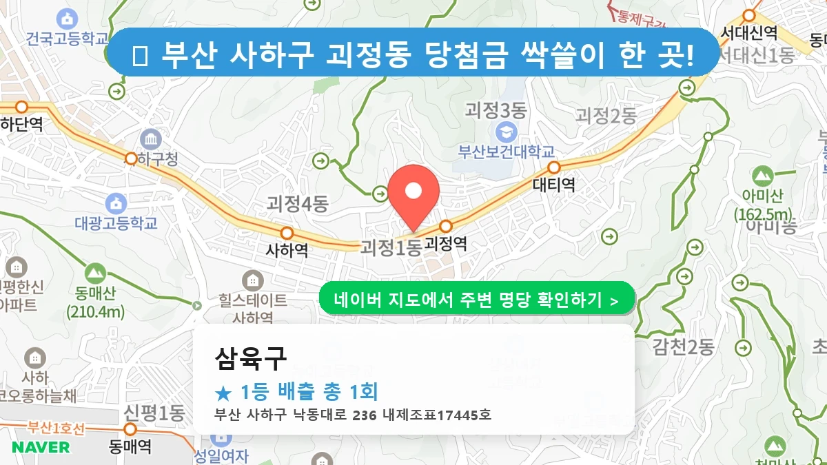 삼육구 네이버 지도