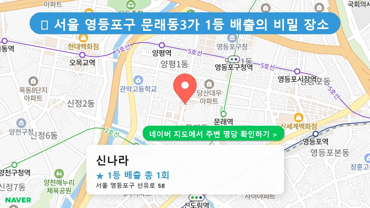 신나라 네이버 지도