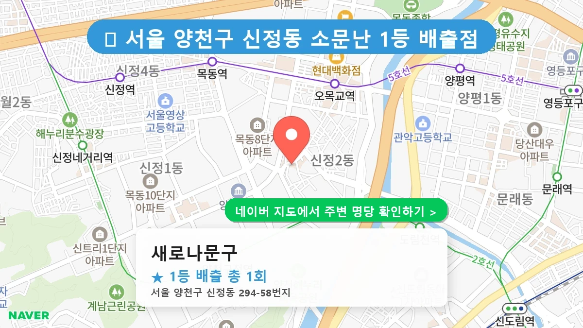 새로나문구 네이버 지도