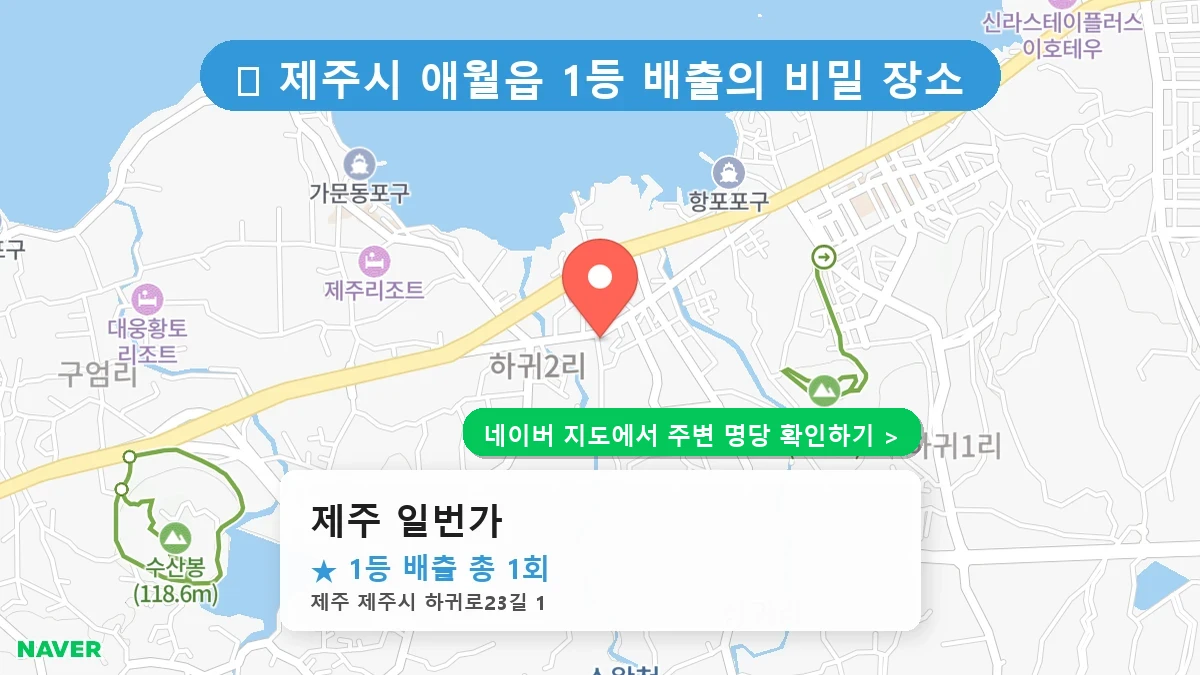 제주 일번가 네이버 지도