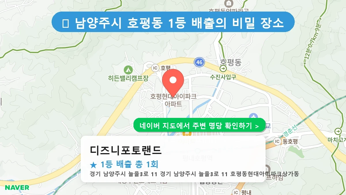 디즈니포토랜드 네이버 지도