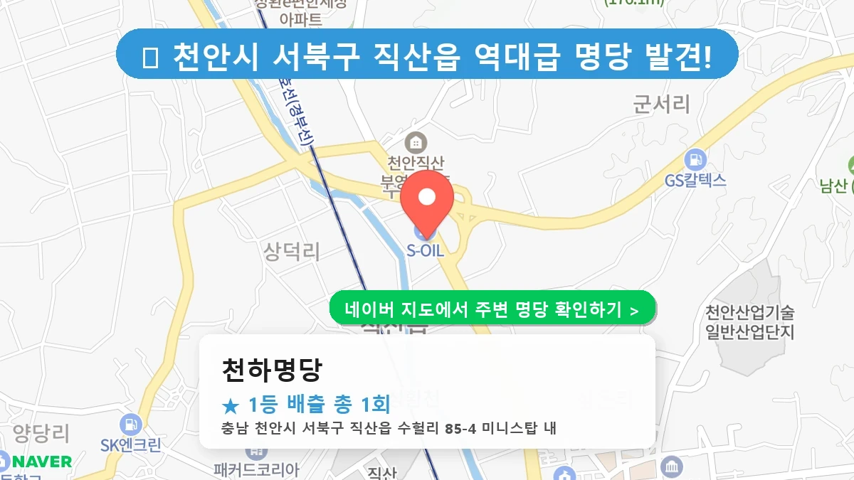 천하명당 네이버 지도