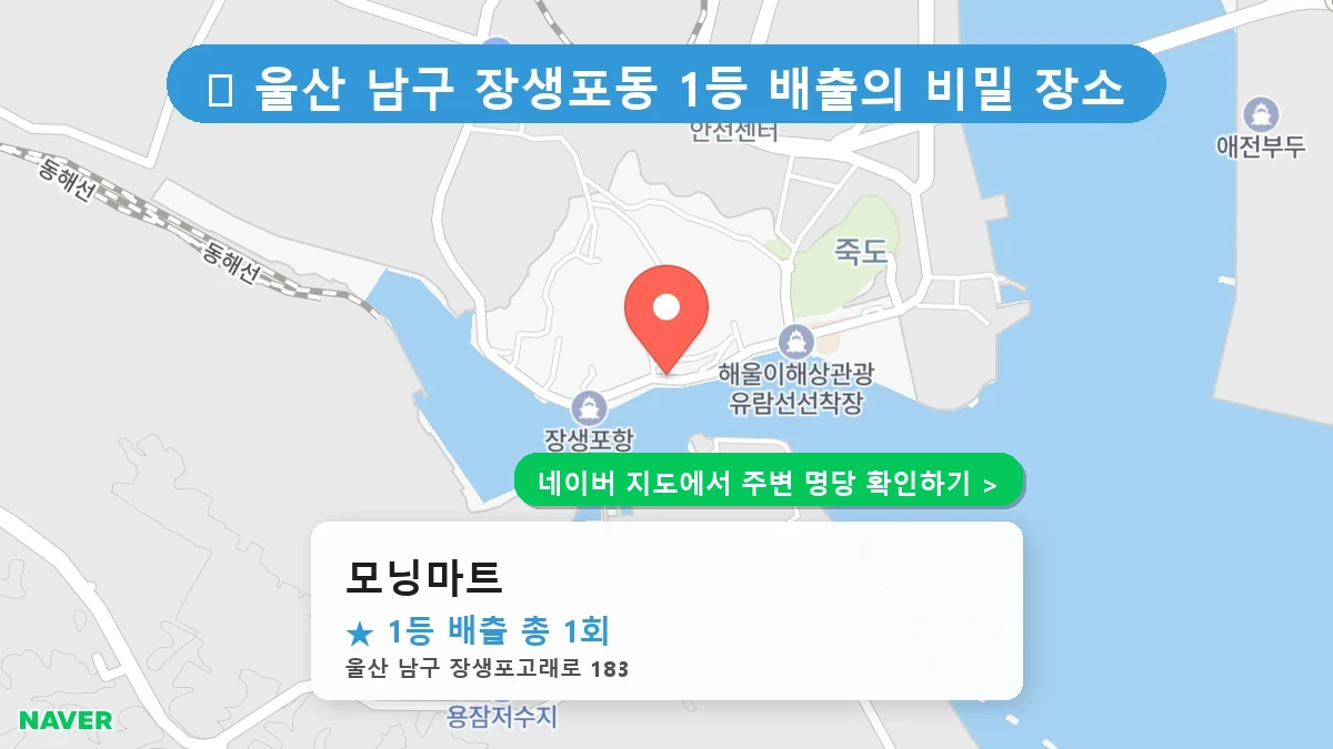 모닝마트 네이버 지도