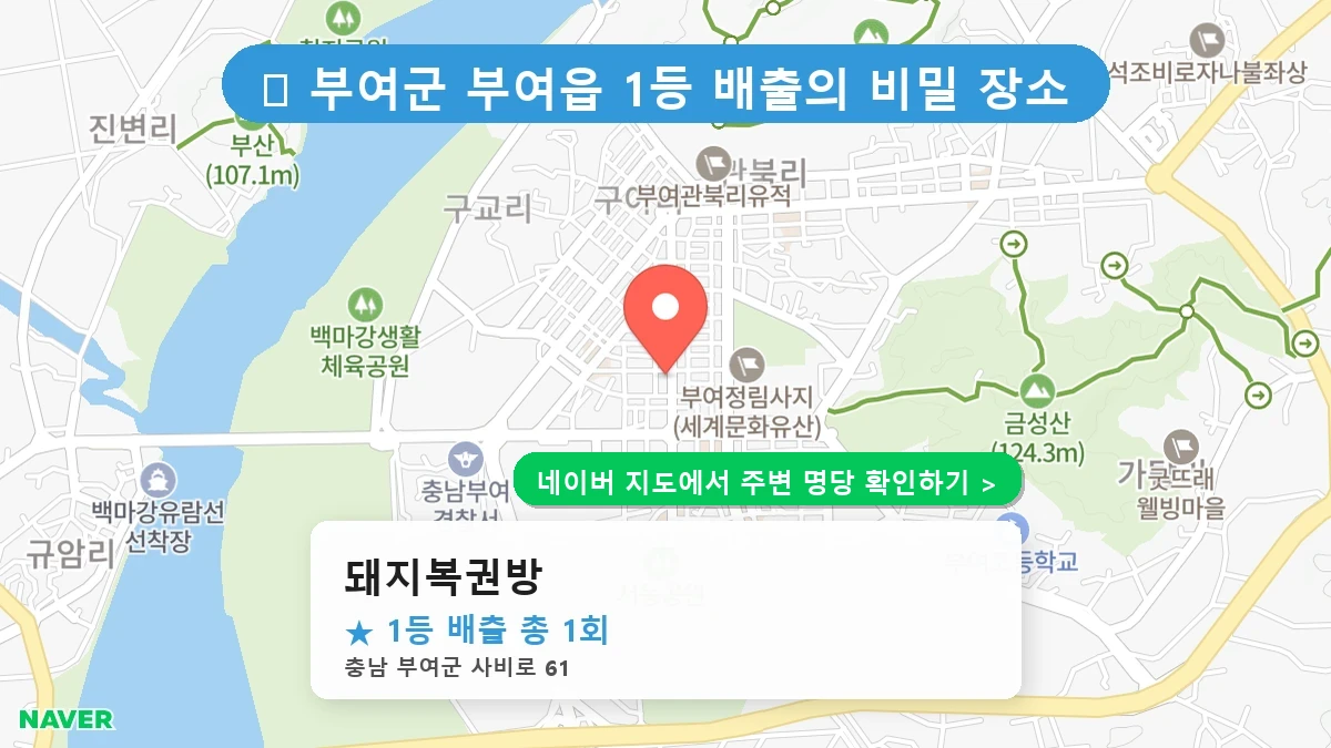 충남 부여군 부여읍 로또 명당 돼지복권방 1등 당첨 배출점 전경
