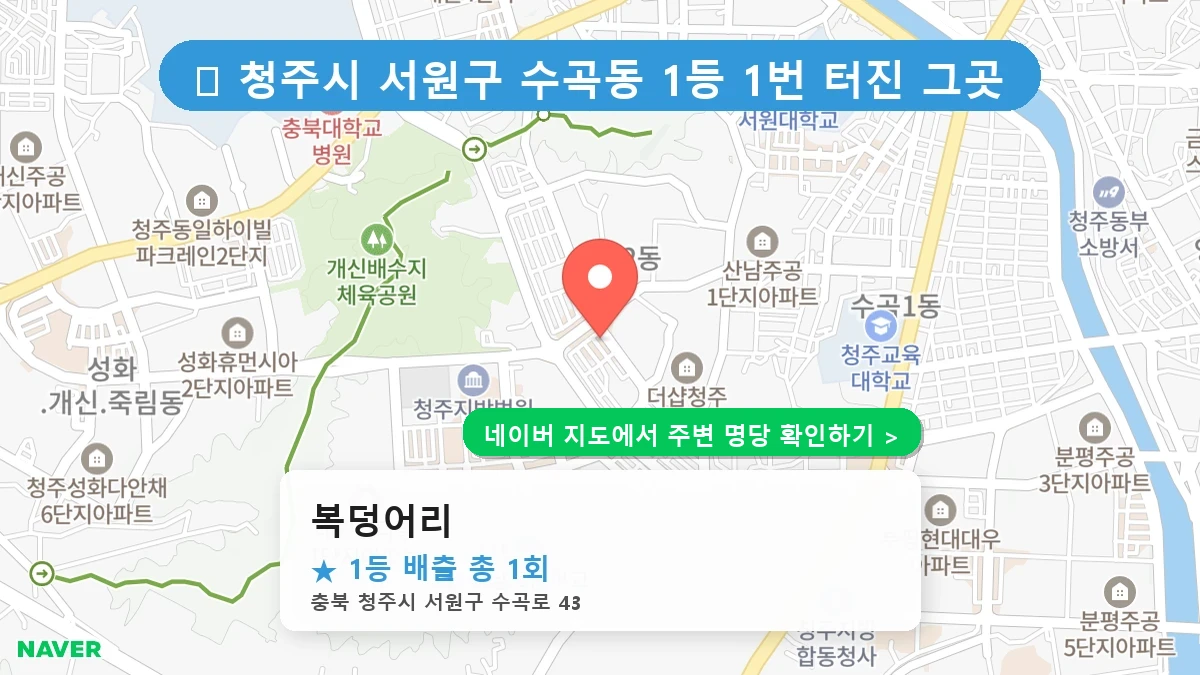 복덩어리 네이버 지도