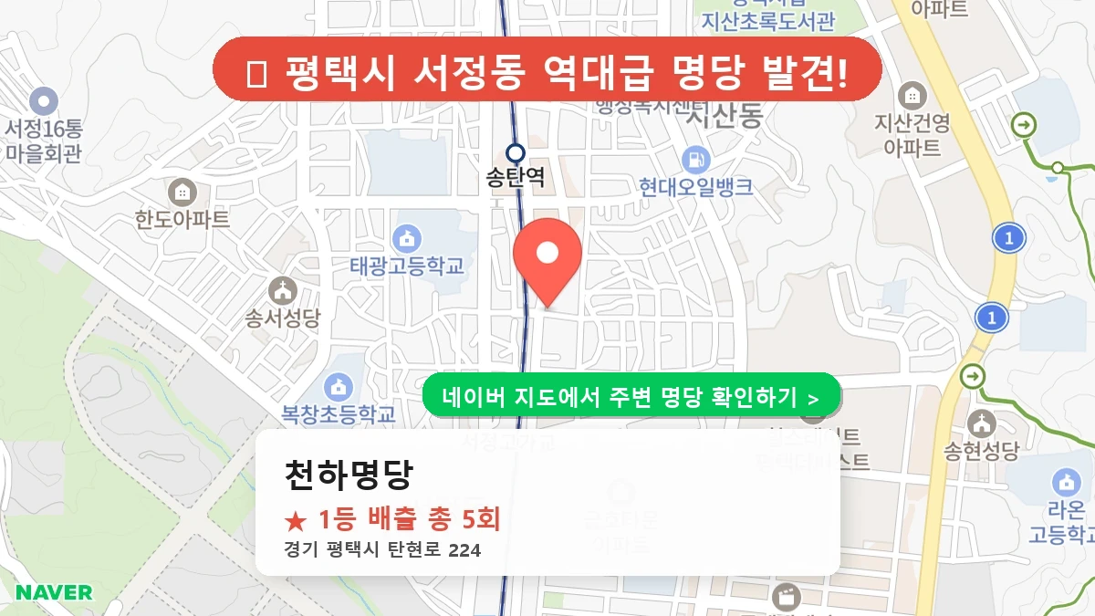 천하명당 네이버 지도