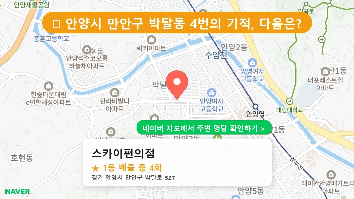 스카이편의점 네이버 지도