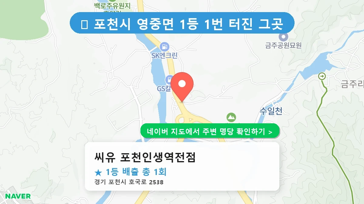 씨유 포천인생역전점 네이버 지도