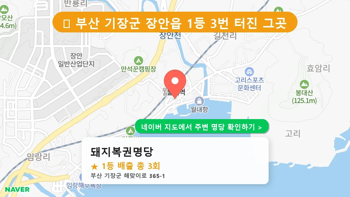 돼지복권명당 네이버 지도