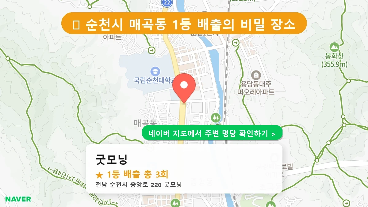 굿모닝 네이버 지도